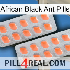 African Black Ant Pills 27